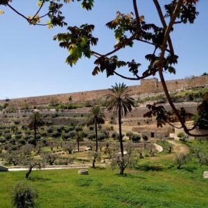 סיור בעיר דוד ולמרגלות הר הבית