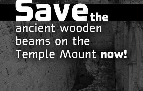 Save the ancient wooden beams on the Temple Mount now!